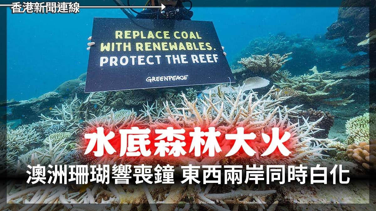 「水底森林大火」    澳洲珊瑚響喪鐘     東西兩岸同時白化