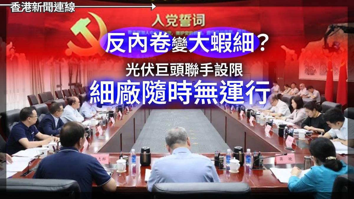 「反內卷」變「大蝦細」? 光伏巨頭聯手設限 細廠隨時無運行