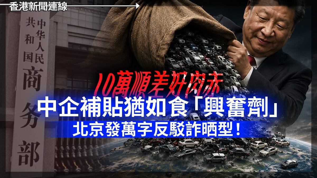 10萬順差好肉赤 中企補貼猶如食「興奮劑」 北京發萬字反駁詐晒型!